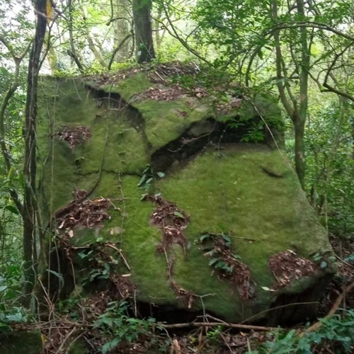 Day Use Fazenda Colomi