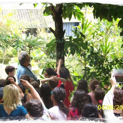 Seringal de Guapimirim