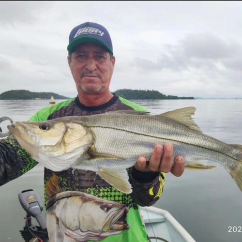Pesca do Robalo