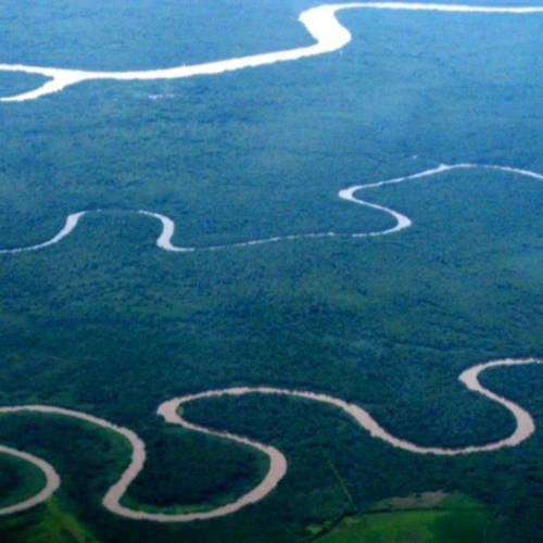 Pantanal Fluminense + Observação dos Botos Cinza