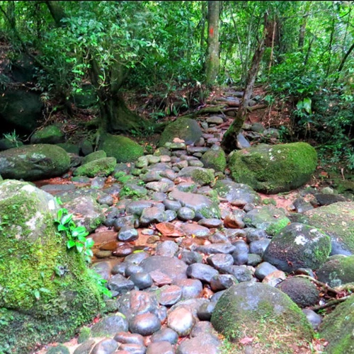 Parque Nacional da Serra dos Órgãos - Sede Guapimirim