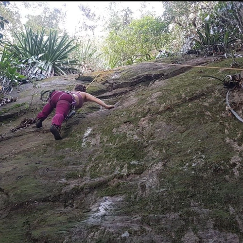 Escalada Experimental na REserva Florestal Jequitiba Rosa