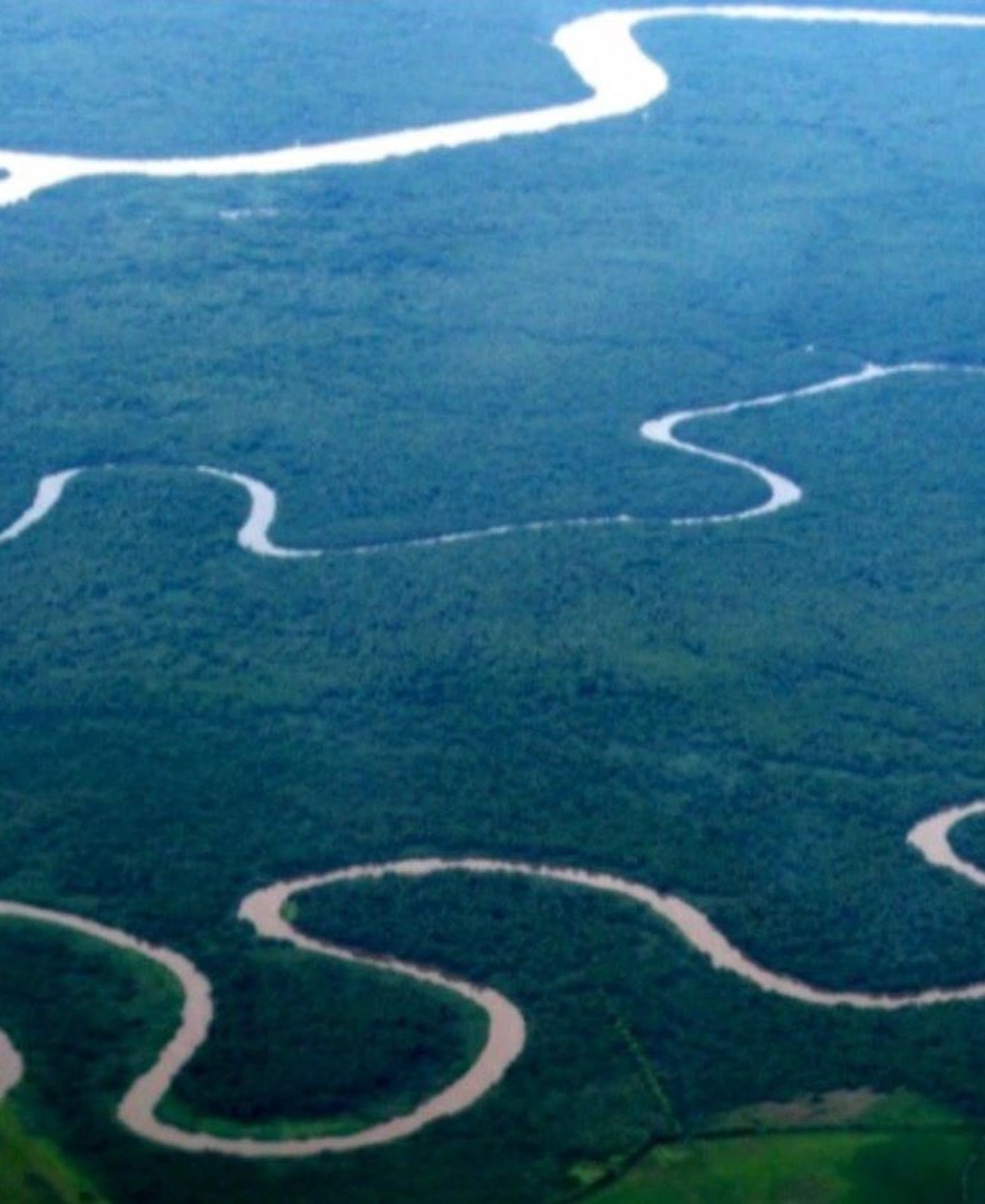 Pantanal Fluminense + Observação dos Botos Cinza